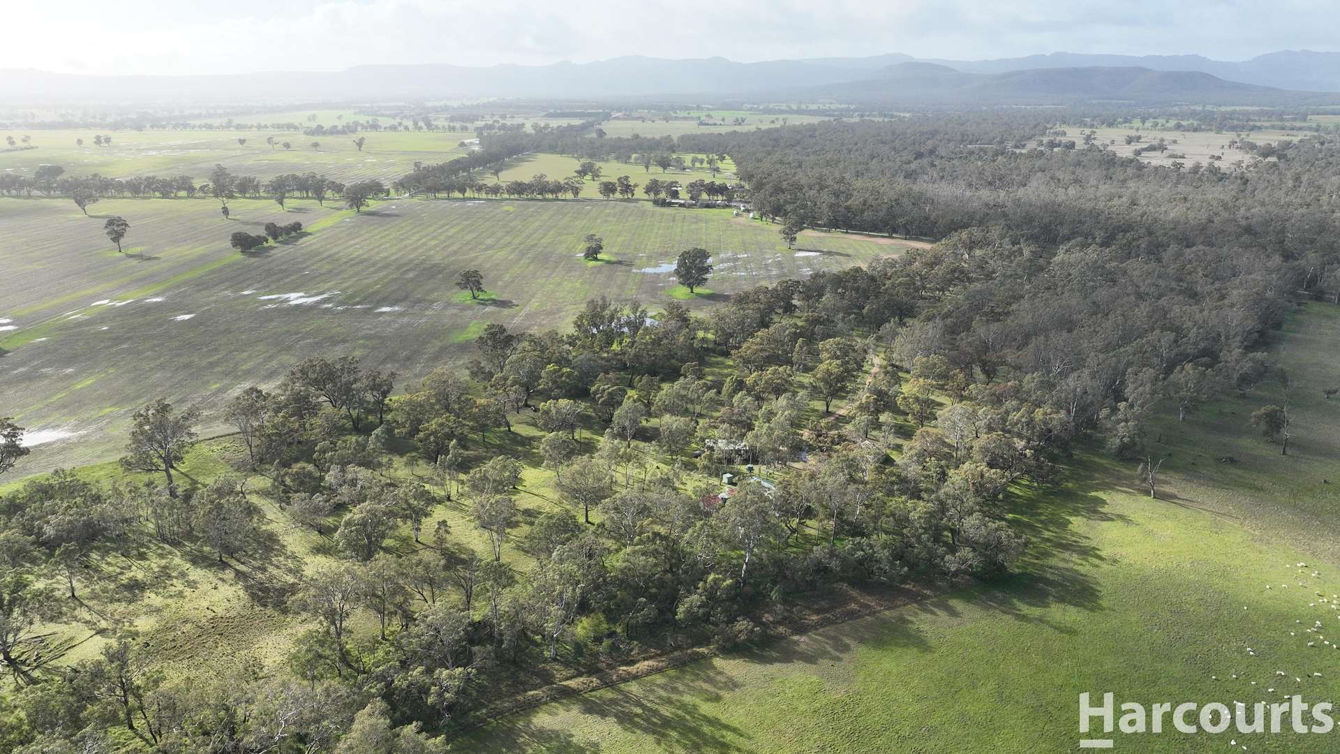 1234 Staehrs Road, Laharum For Sale by Farmbuy.com - image 20