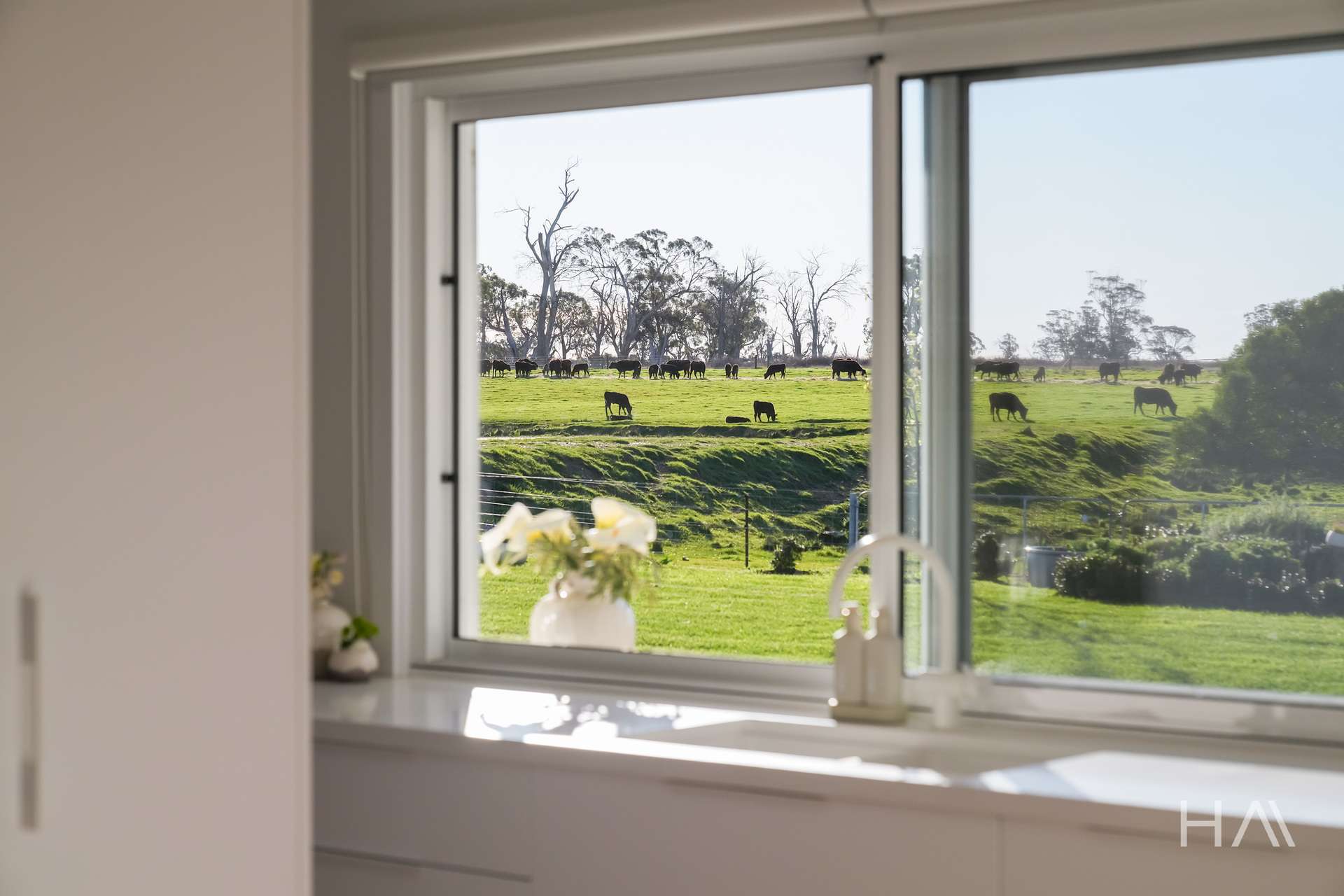709 Illawarra Road, Longford For Sale by Farmbuy.com - image 6