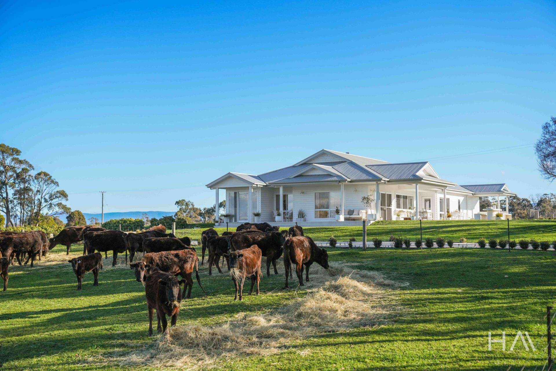 709 Illawarra Road, Longford For Sale by Farmbuy.com - image 3