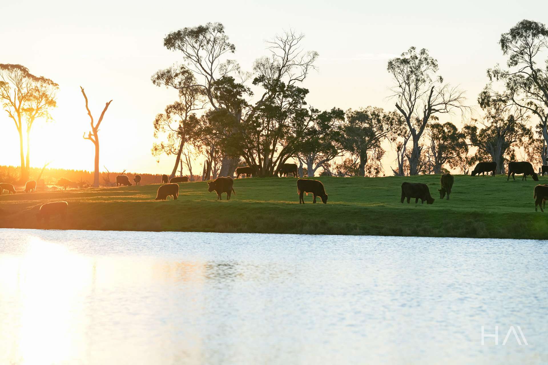 709 Illawarra Road, Longford For Sale by Farmbuy.com - image 7