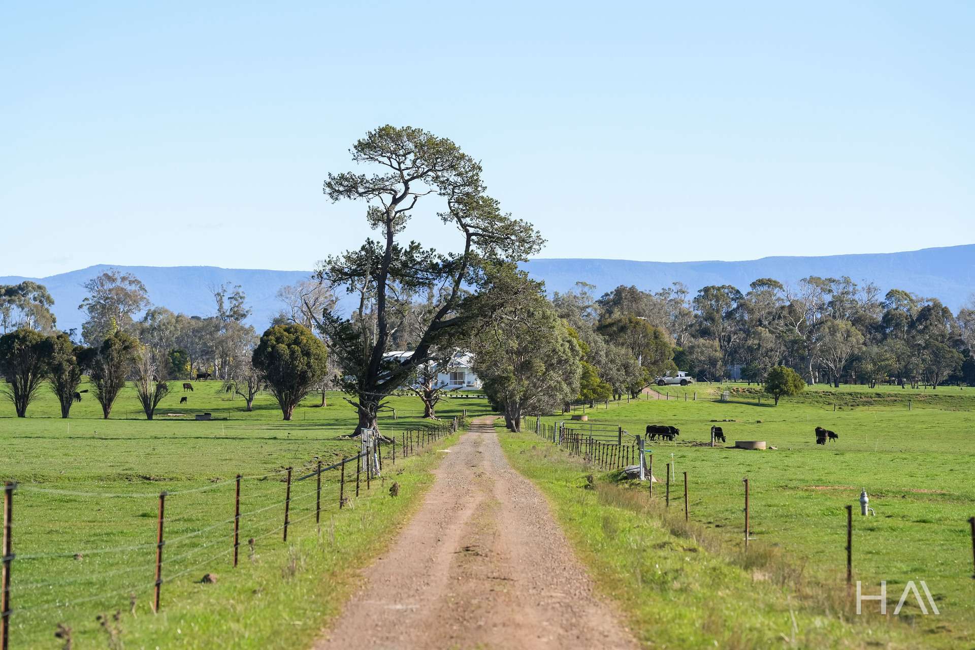 709 Illawarra Road, Longford For Sale by Farmbuy.com - image 2