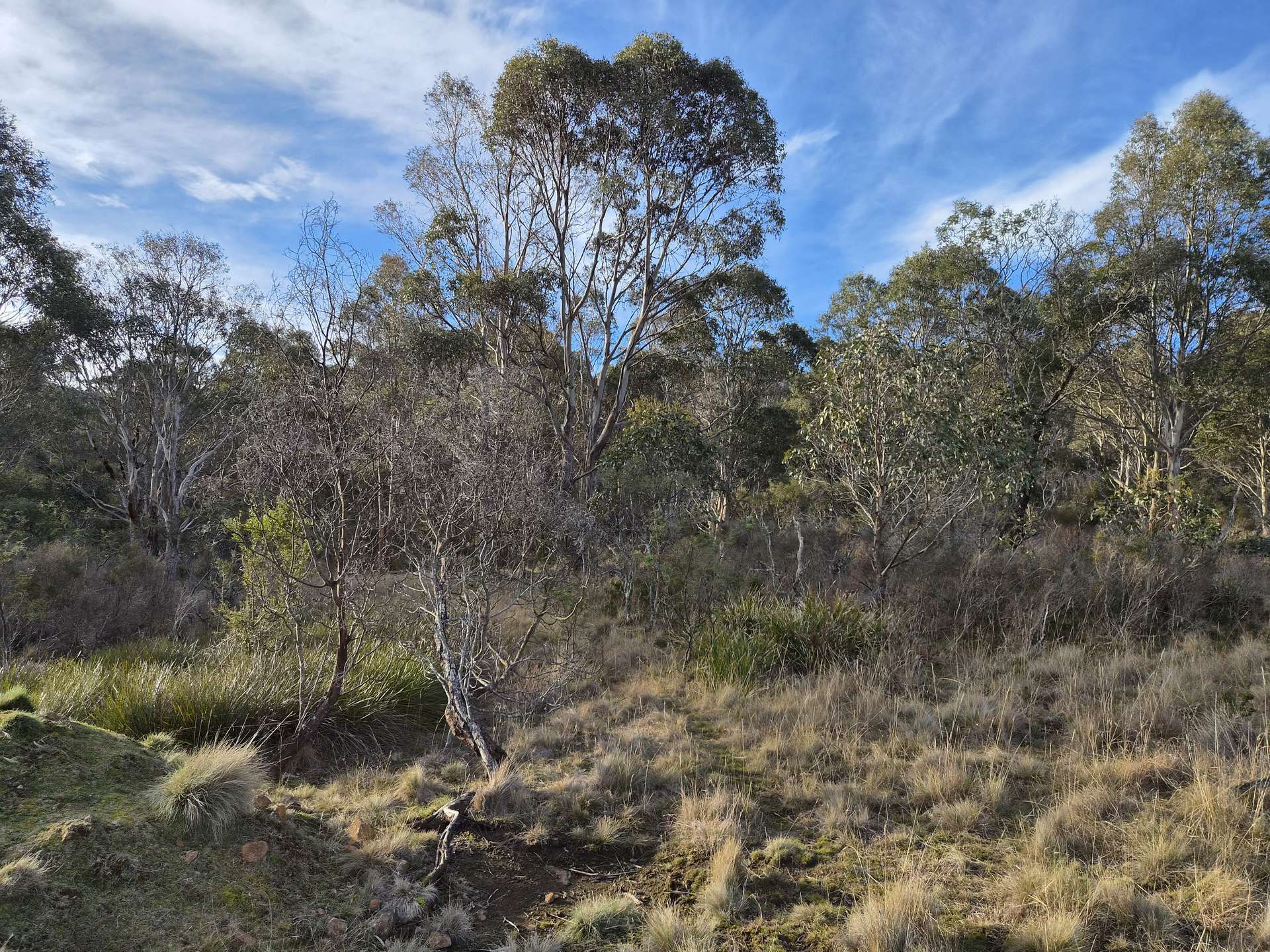 0 Salmons Road, Rhyndaston For Sale by Farmbuy.com - image 6