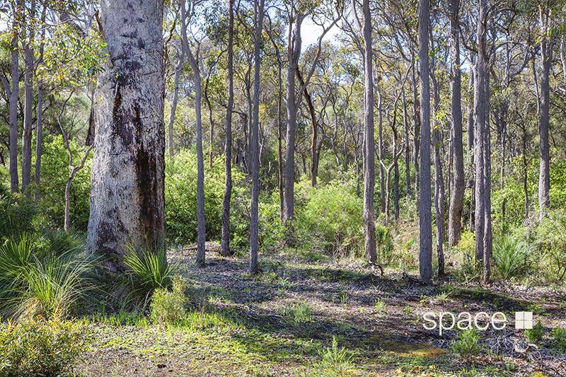 12 Walker Place, Redgate For Sale by Farmbuy.com - image 19