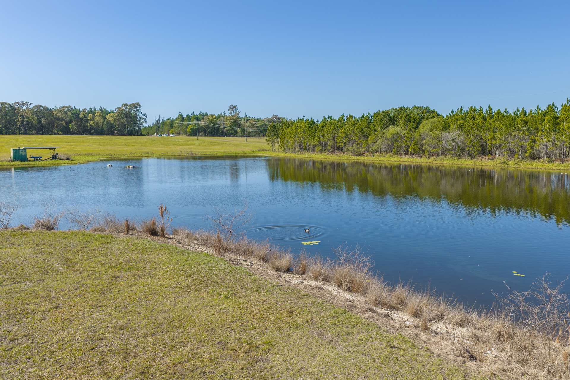 447-490 Wallace Road North, Ningi Auction by Farmbuy.com - image 11