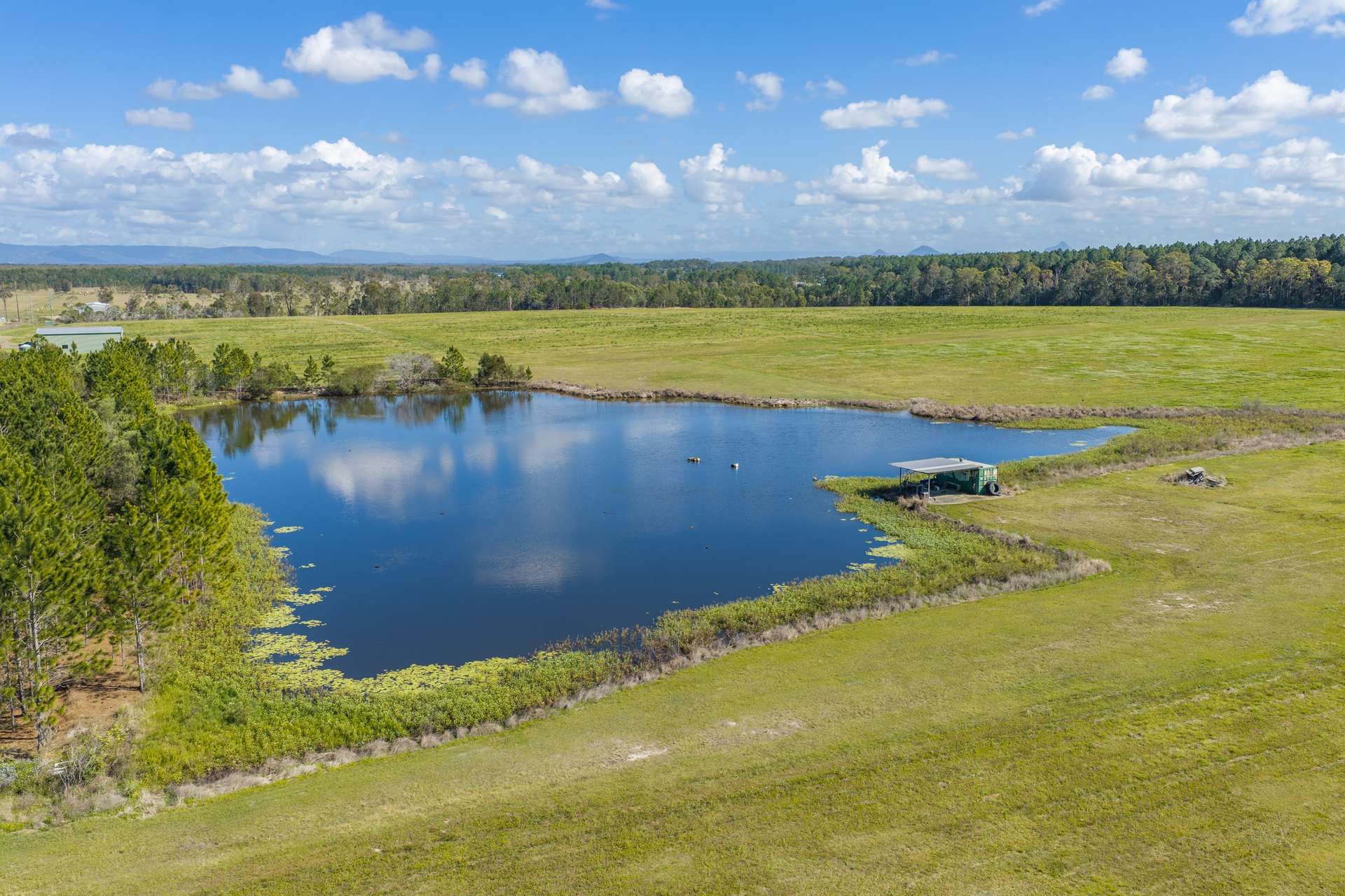 447-490 Wallace Road North, Ningi Auction by Farmbuy.com - image 3
