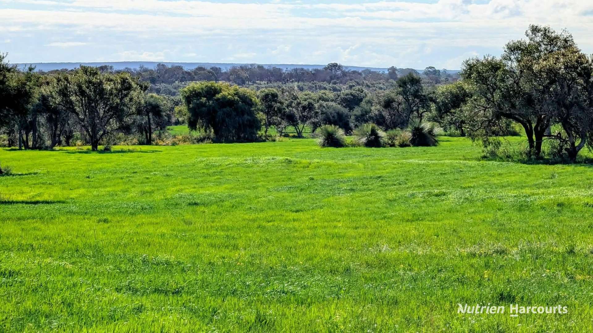 Lot 9818 Telephone Road, Neergabby For Sale by Farmbuy.com - image 9