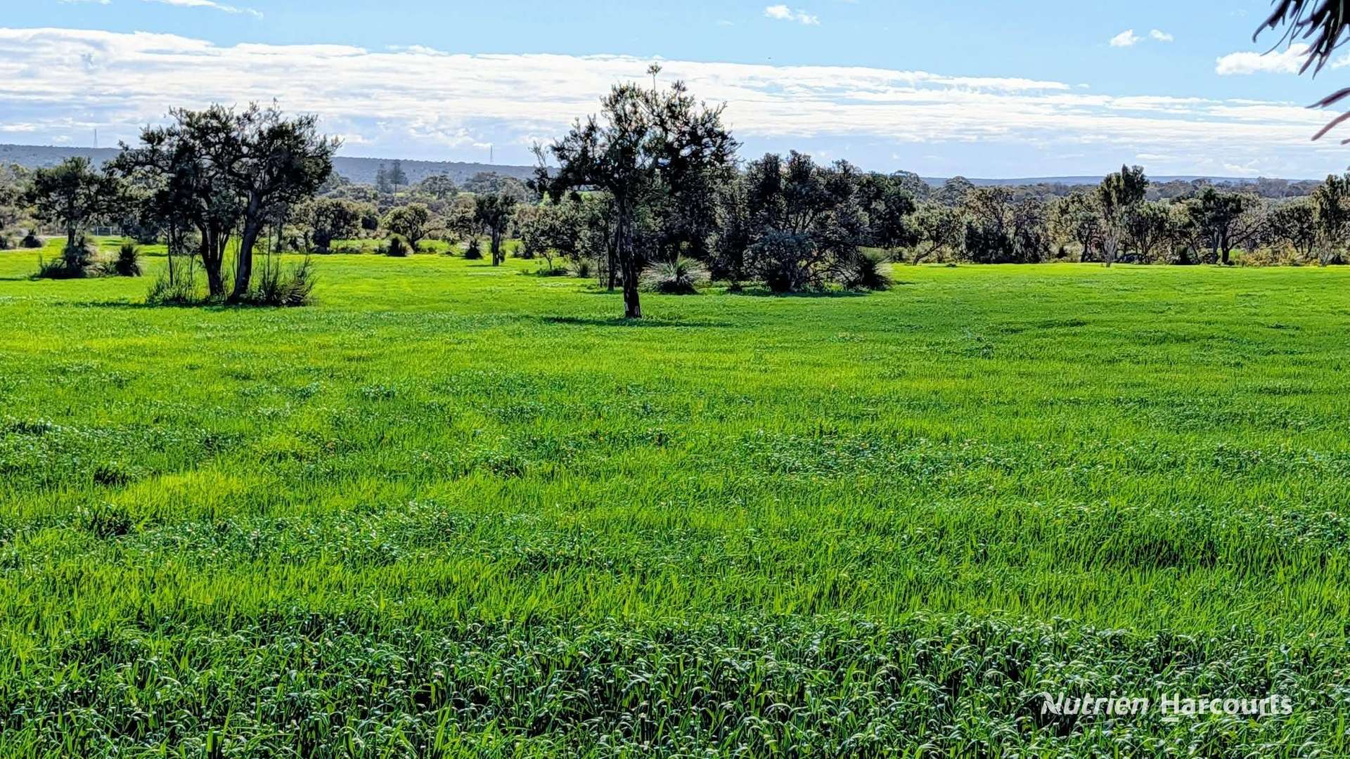 Lot 9818 Telephone Road, Neergabby For Sale by Farmbuy.com - image 3