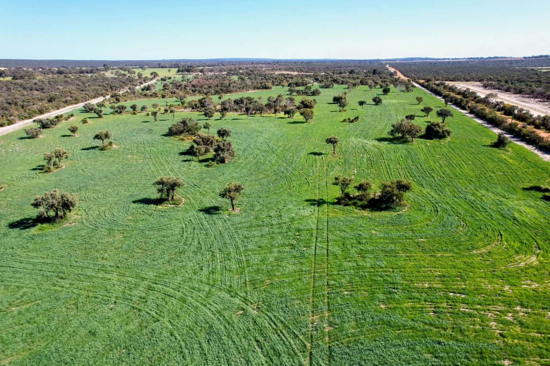 Lot 9818 Telephone Road, Neergabby For Sale by Farmbuy.com - image 13