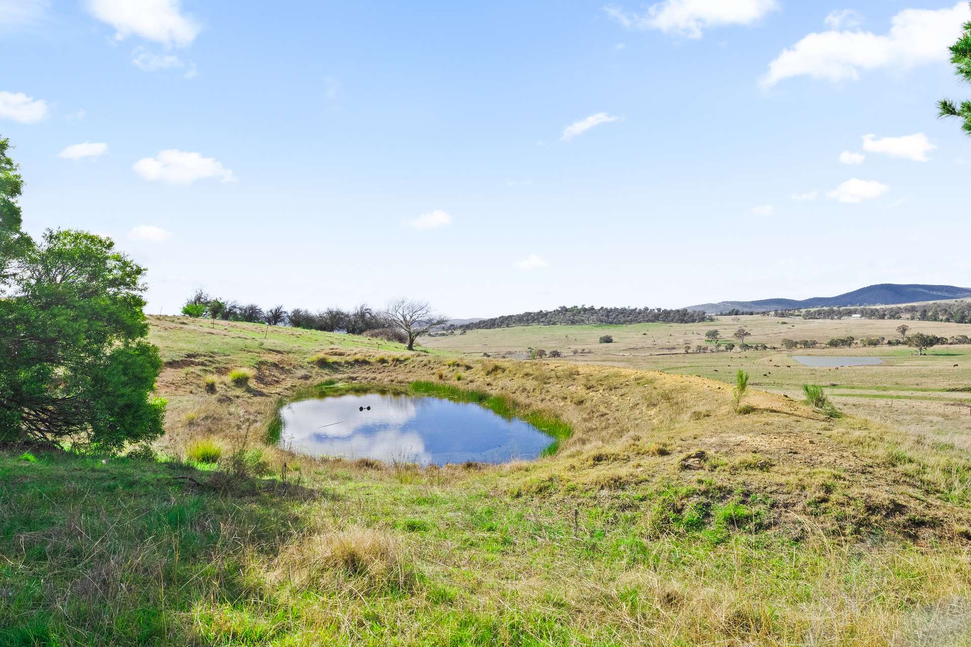 114 Sydney Road, Towrang For Sale by Farmbuy.com - image 15