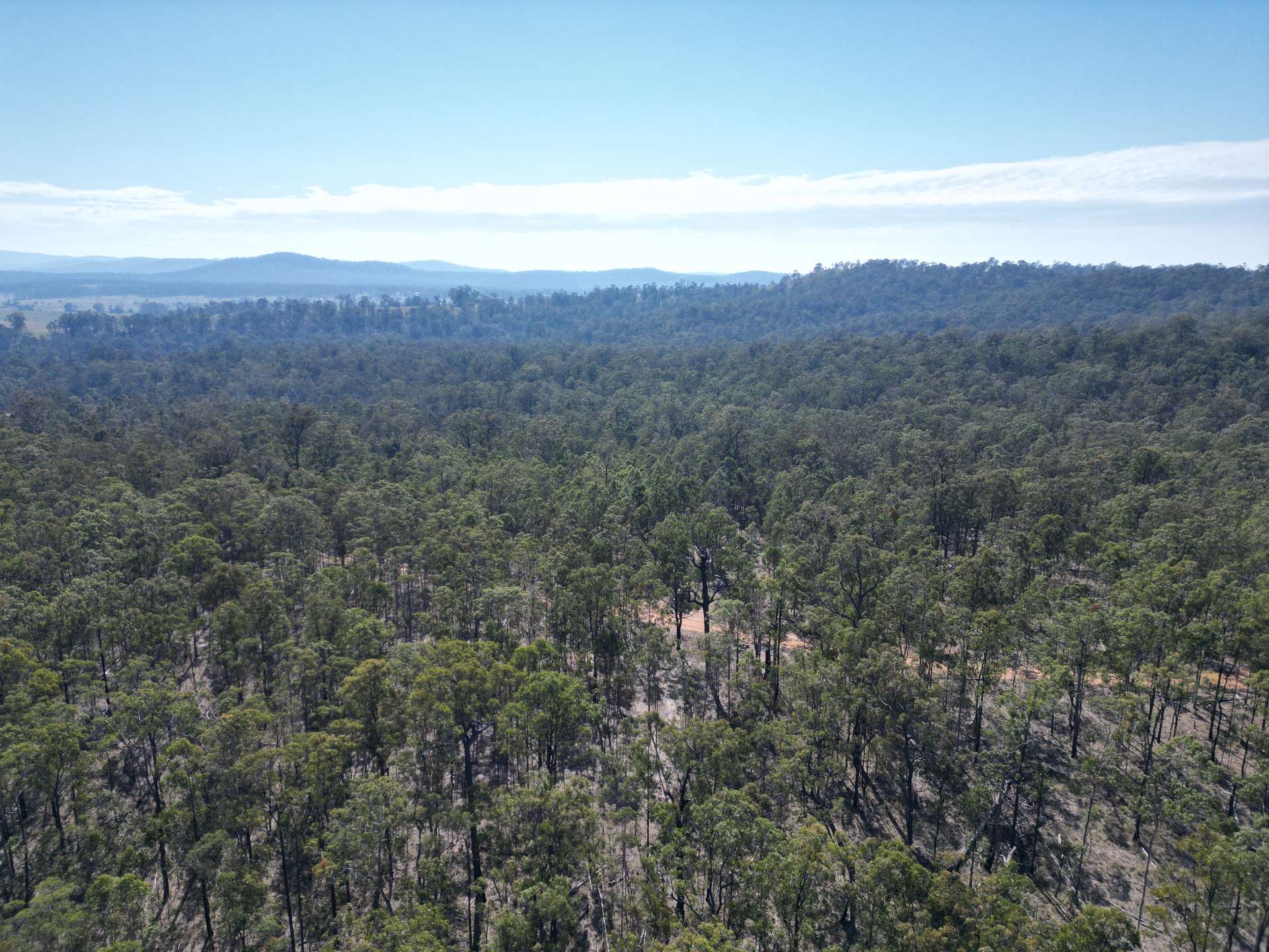 853 Ramornie Station Road, Ramornie For Sale by Farmbuy.com - image 9