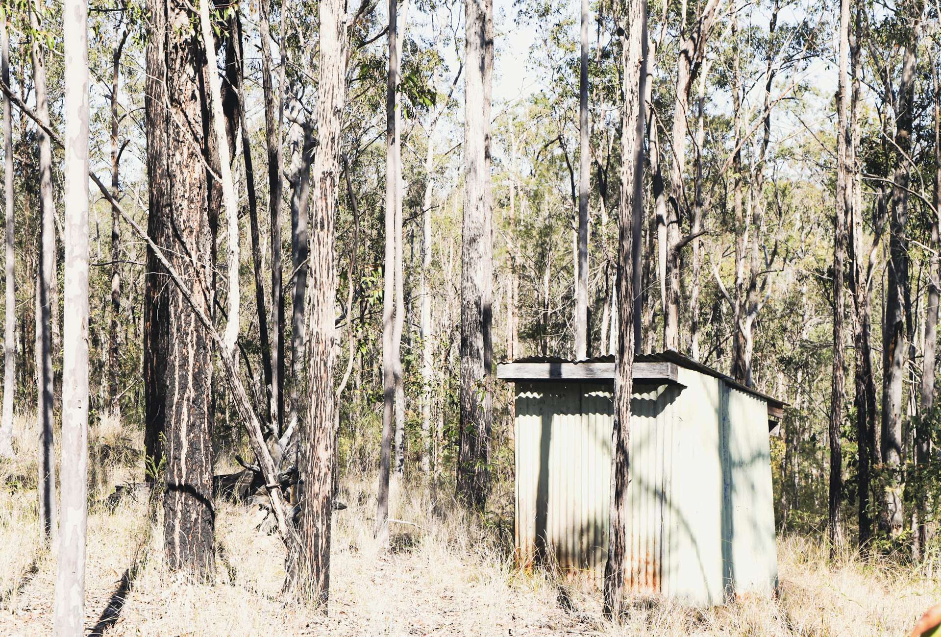853 Ramornie Station Road, Ramornie For Sale by Farmbuy.com - image 6