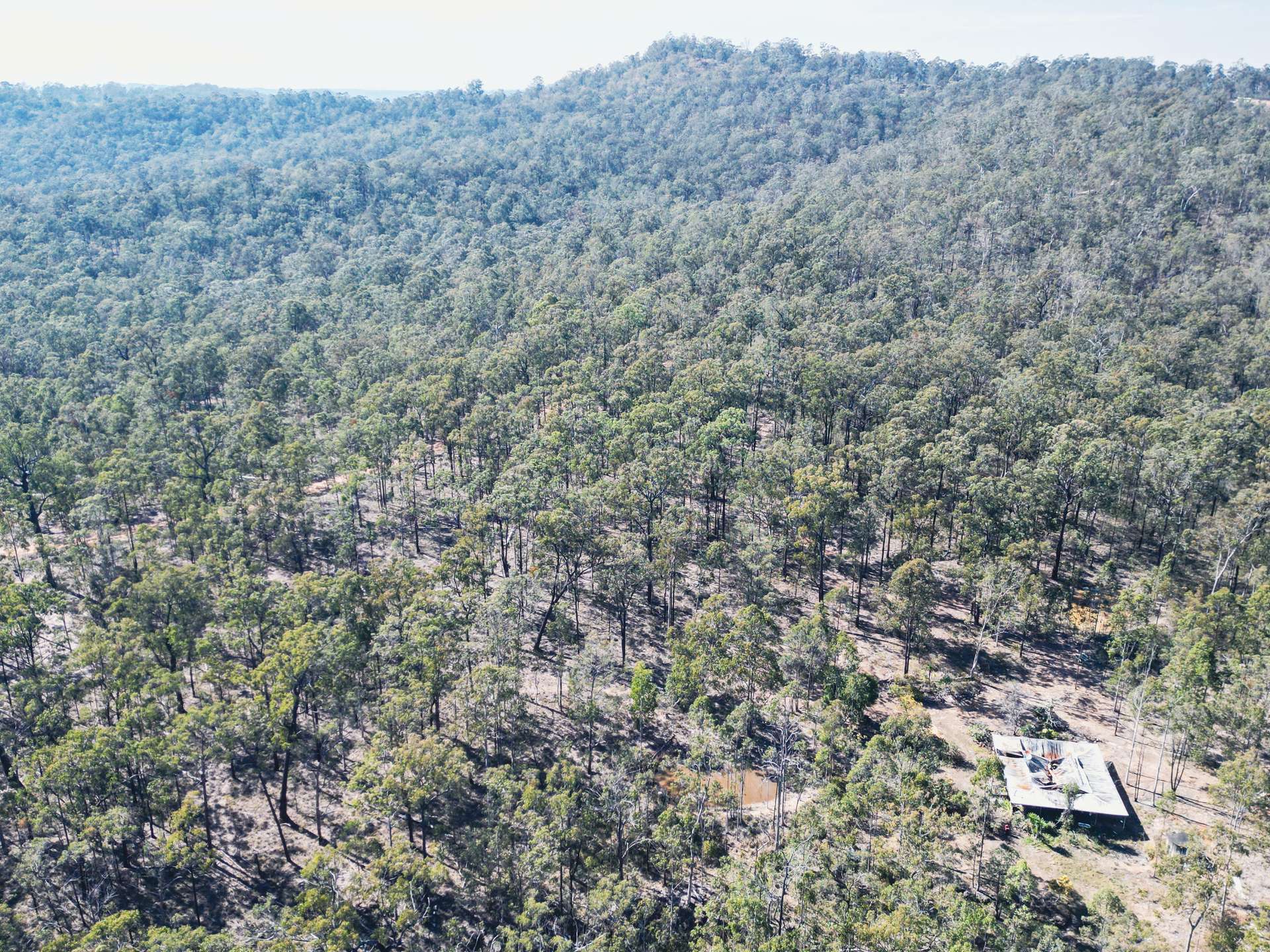 853 Ramornie Station Road, Ramornie For Sale by Farmbuy.com - image 8