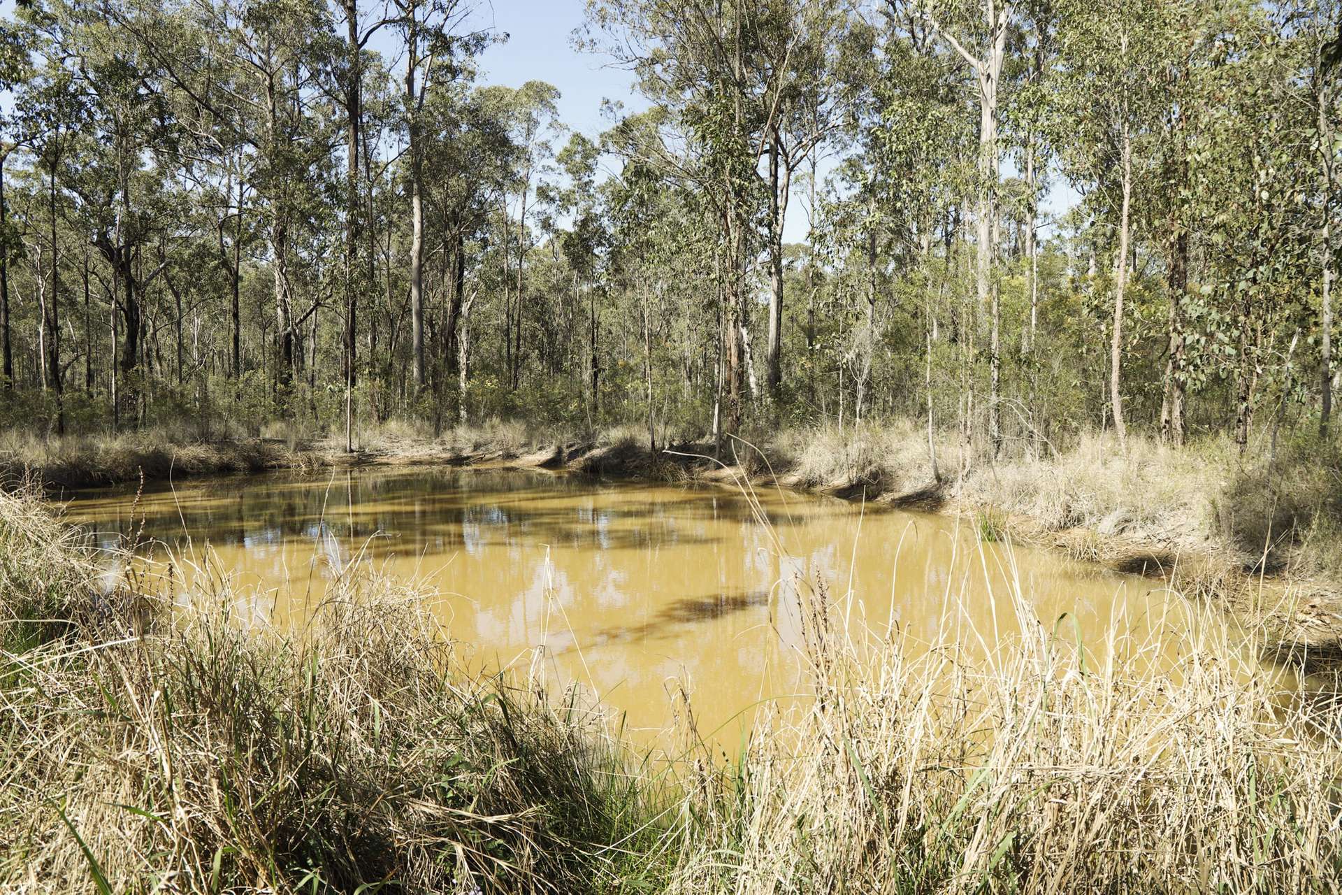 853 Ramornie Station Road, Ramornie For Sale by Farmbuy.com - image 7
