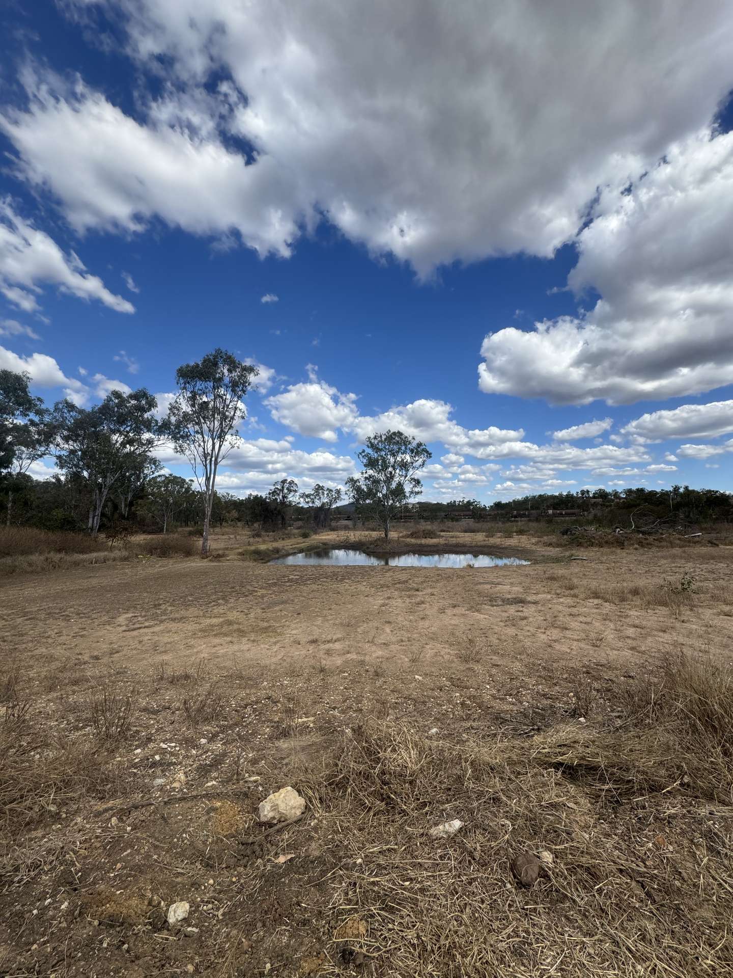 Lot 199/6 Griffith Road, Stanwell For Sale by Farmbuy.com - image 3
