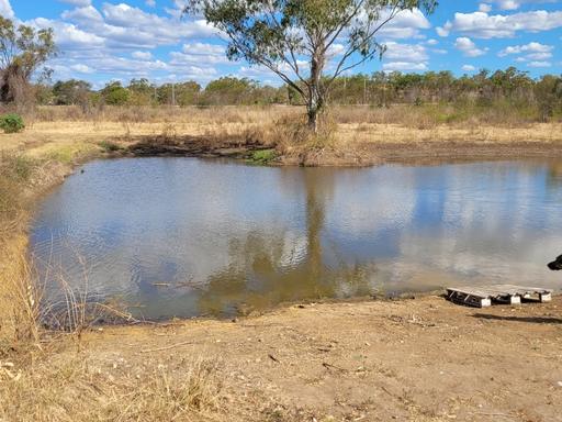 Farm For Sale - QLD - Stanwell - 4702 - COUNTRY LIVING WITHOUT LEAVING TOWN CONVENIENCE BEHIND 