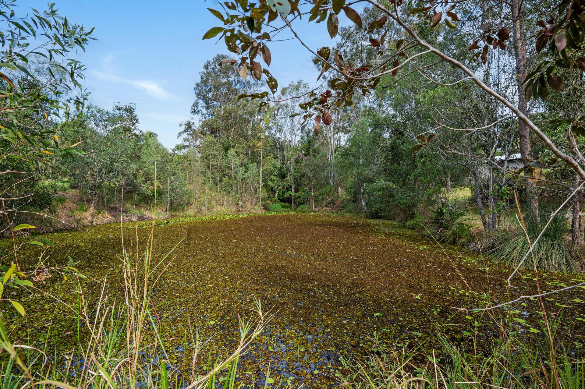 7 Brunswick Place, Wights Mountain For Sale by Farmbuy.com - image 33