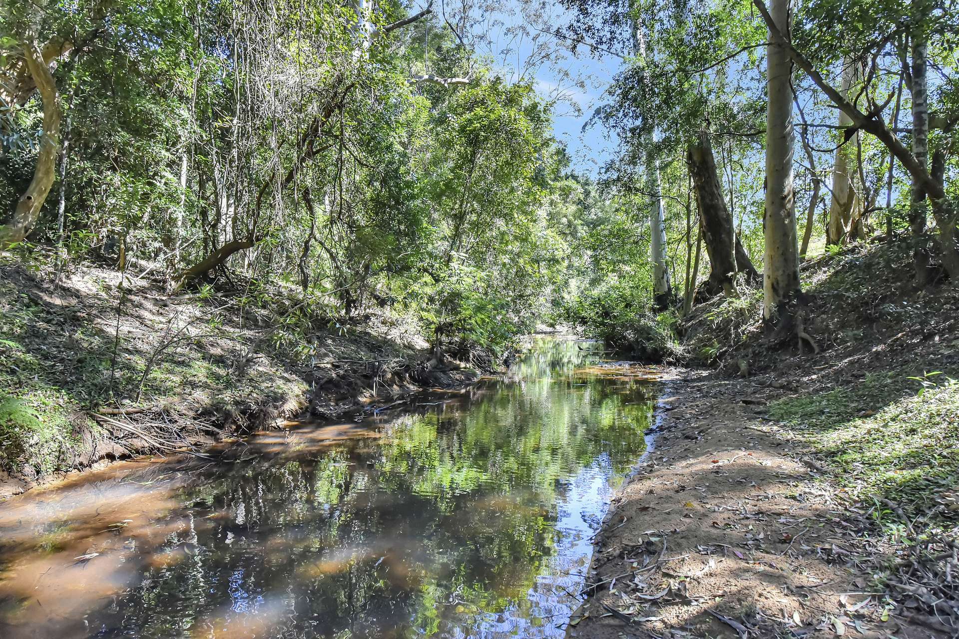 1273 Watagan Creek Road, Laguna For Sale by Farmbuy.com - image 33