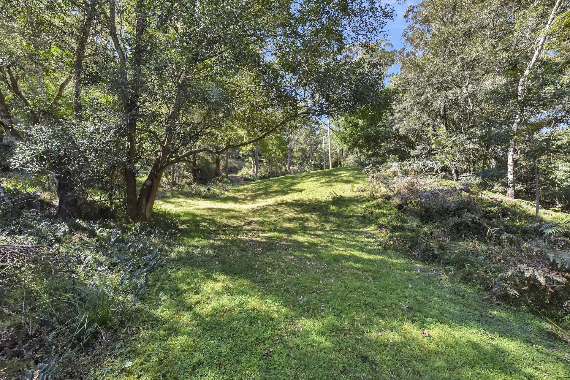 1273 Watagan Creek Road, Laguna For Sale by Farmbuy.com - image 28