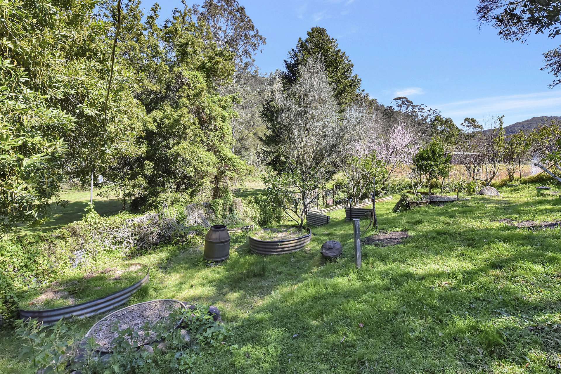 1273 Watagan Creek Road, Laguna For Sale by Farmbuy.com - image 27