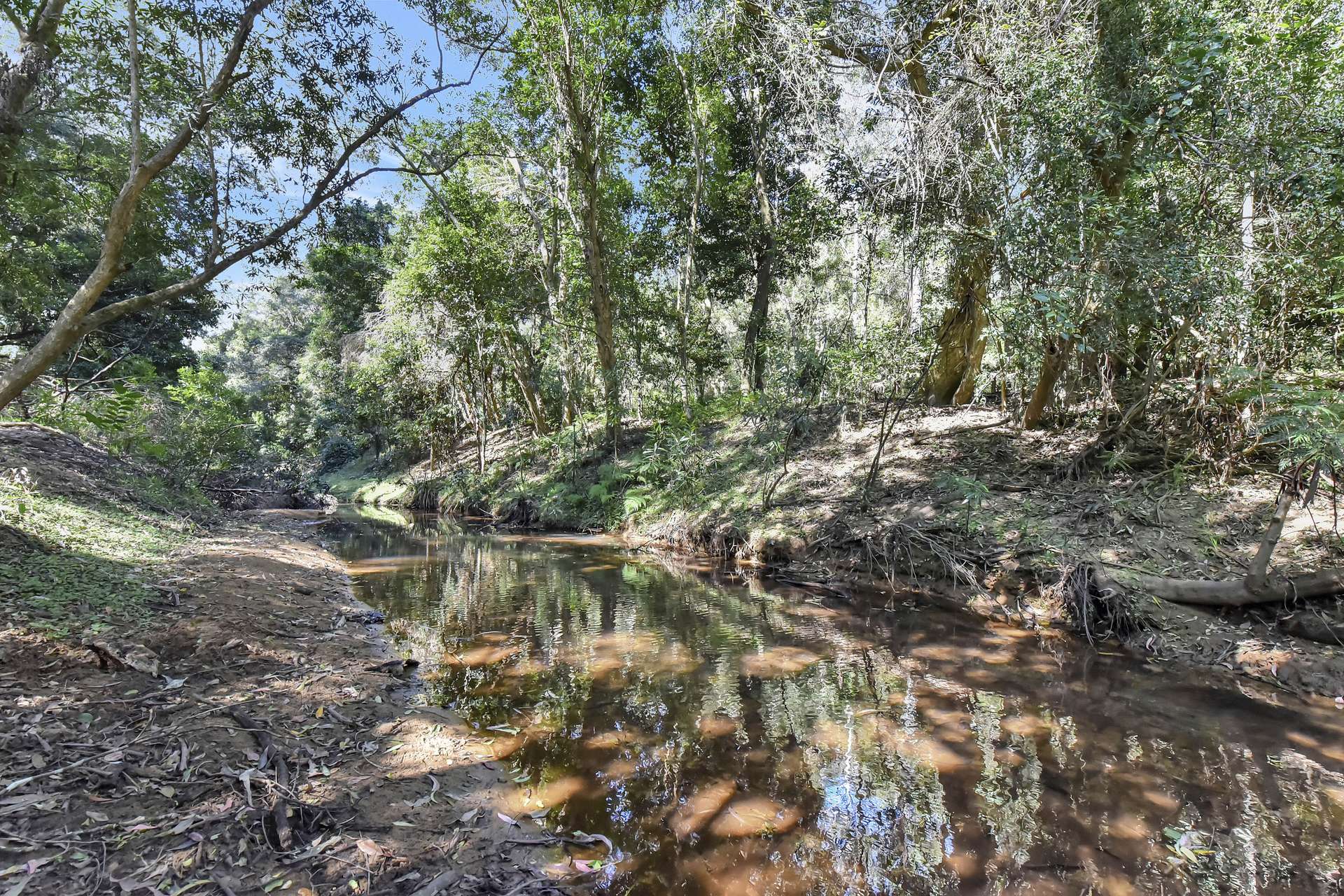 1273 Watagan Creek Road, Laguna For Sale by Farmbuy.com - image 7