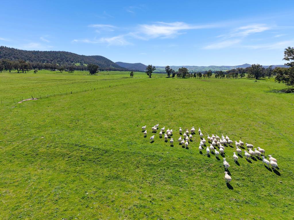 223 Rodwells Road, Murga NSW 2864