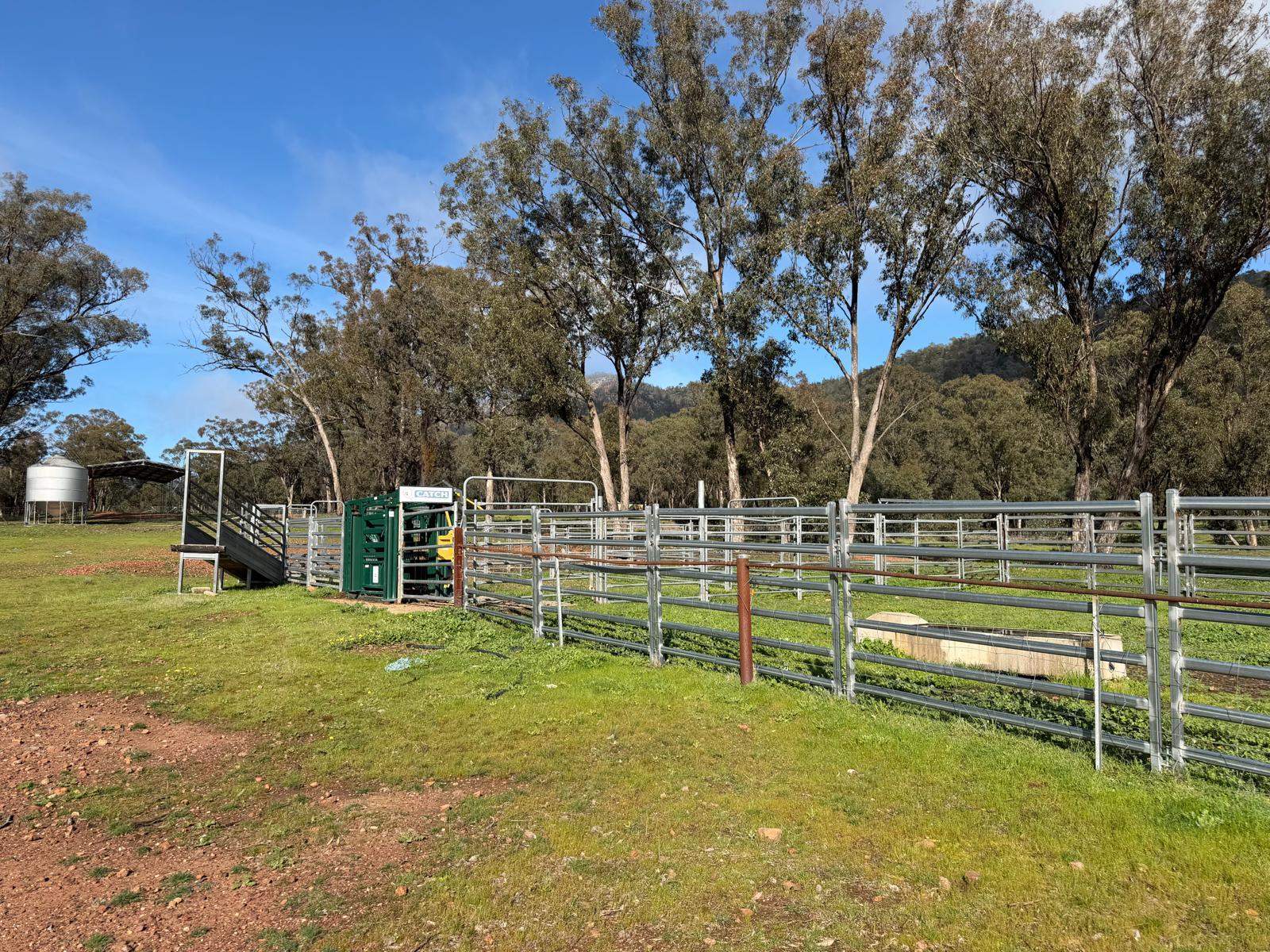 223 Rodwells Road, Murga For Sale by Farmbuy.com - image 25
