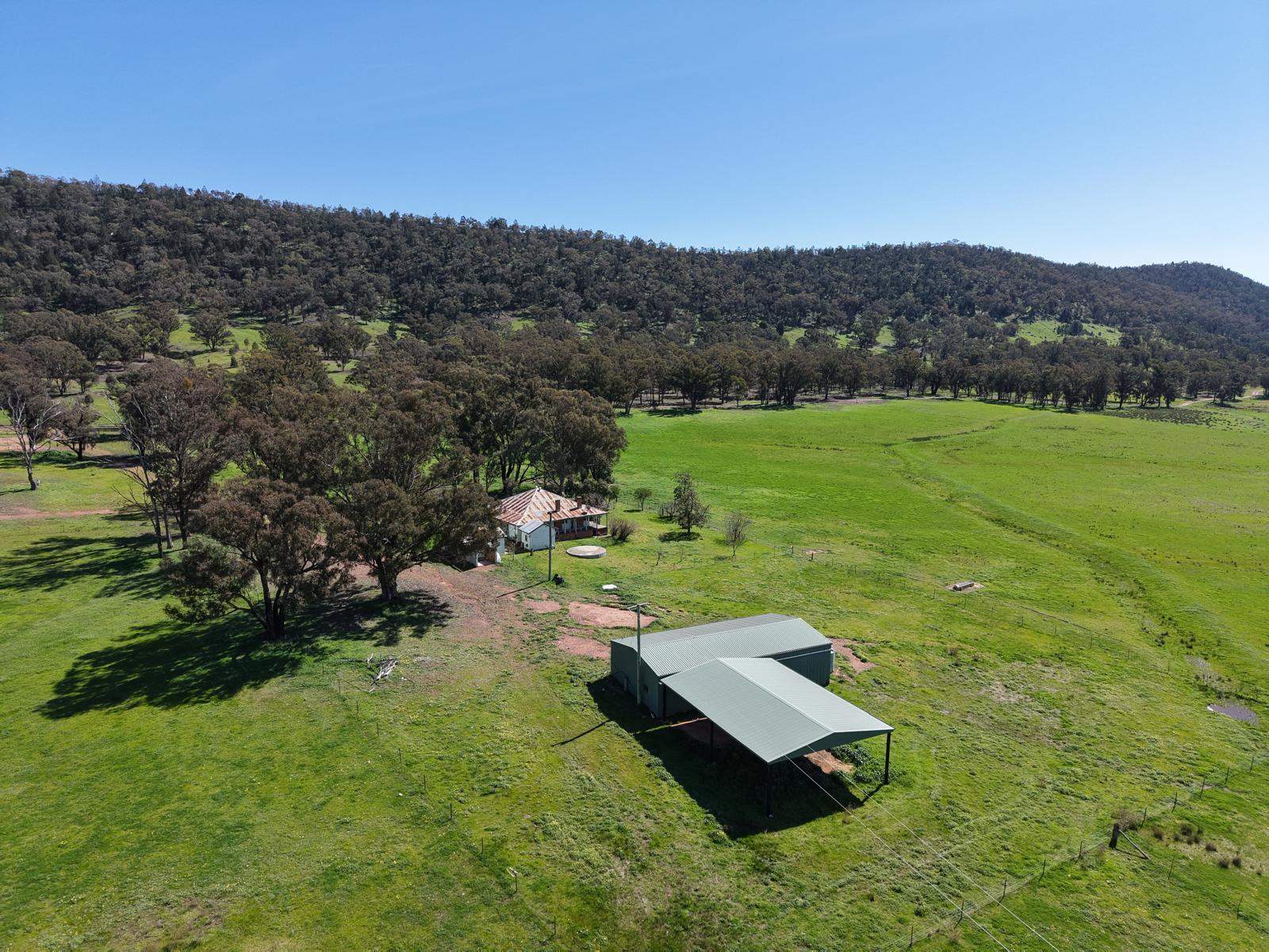 223 Rodwells Road, Murga For Sale by Farmbuy.com - image 29