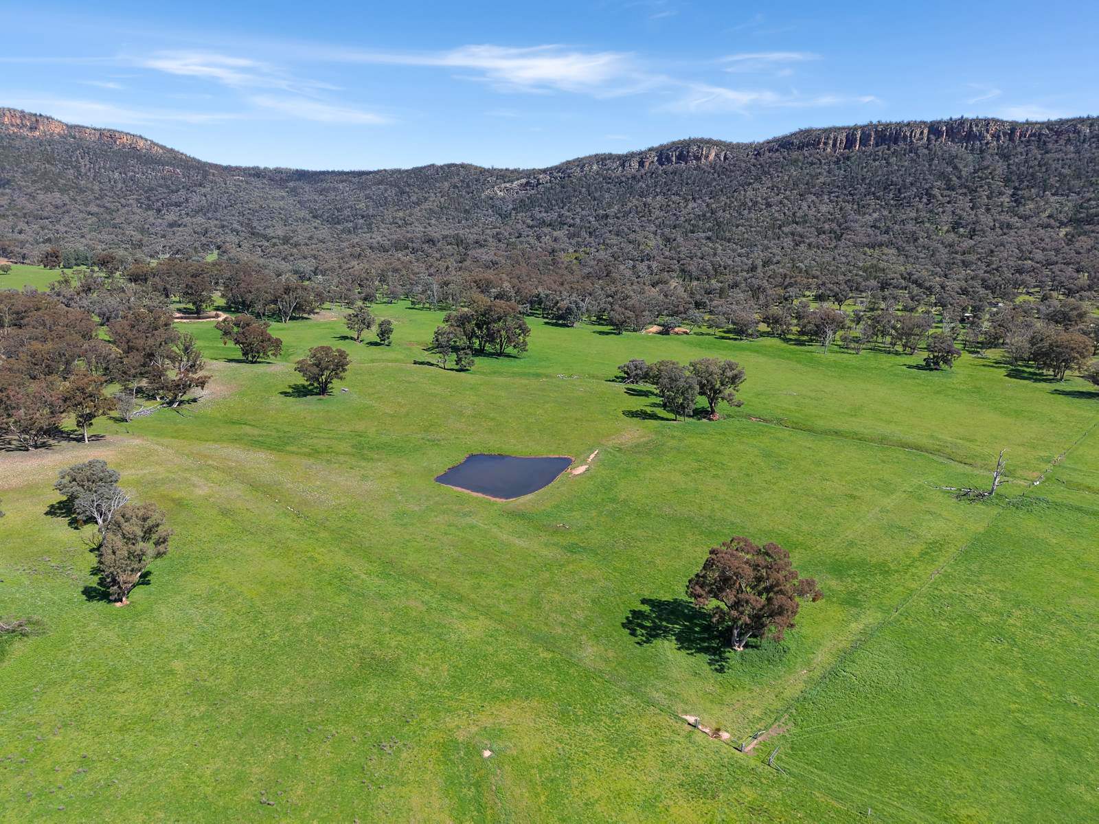 223 Rodwells Road, Murga For Sale by Farmbuy.com - image 4