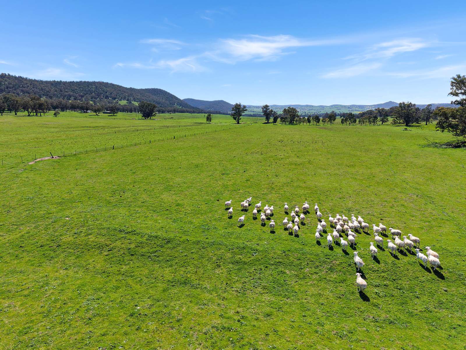 223 Rodwells Road, Murga For Sale by Farmbuy.com - image 1