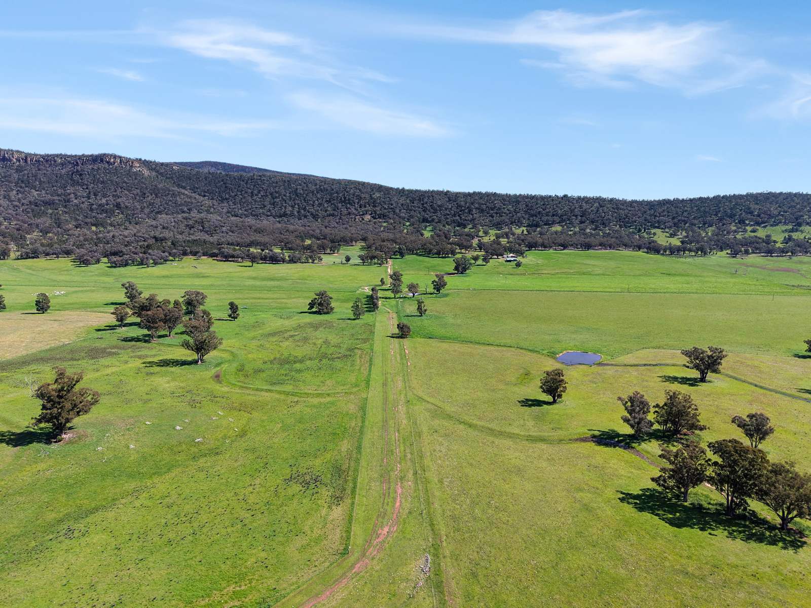 223 Rodwells Road, Murga For Sale by Farmbuy.com - image 3