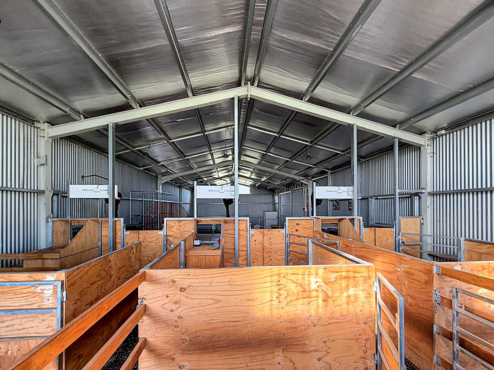 223 Rodwells Road, Murga For Sale by Farmbuy.com - image 22