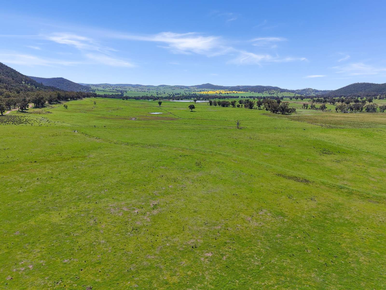 223 Rodwells Road, Murga For Sale by Farmbuy.com - image 34