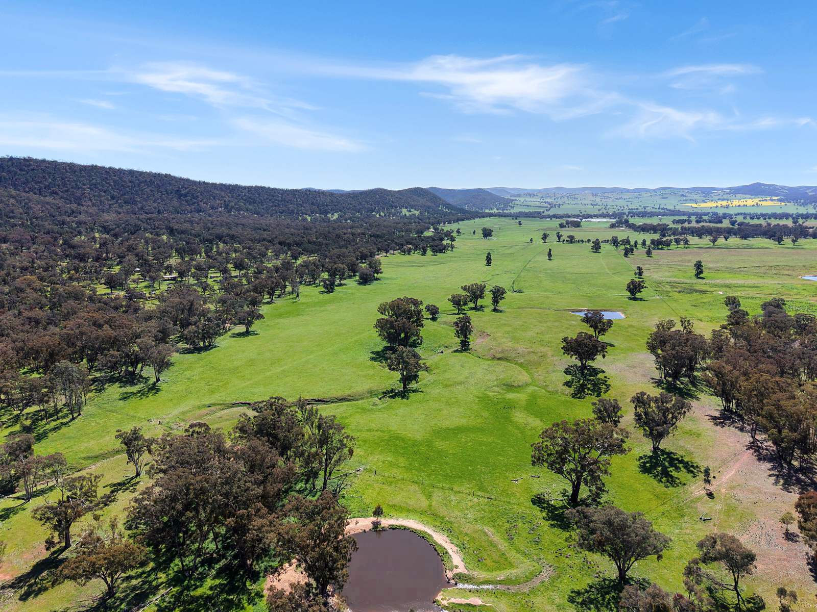 223 Rodwells Road, Murga For Sale by Farmbuy.com - image 2