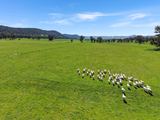 223 Rodwells Road, Murga For Sale by Agri Property