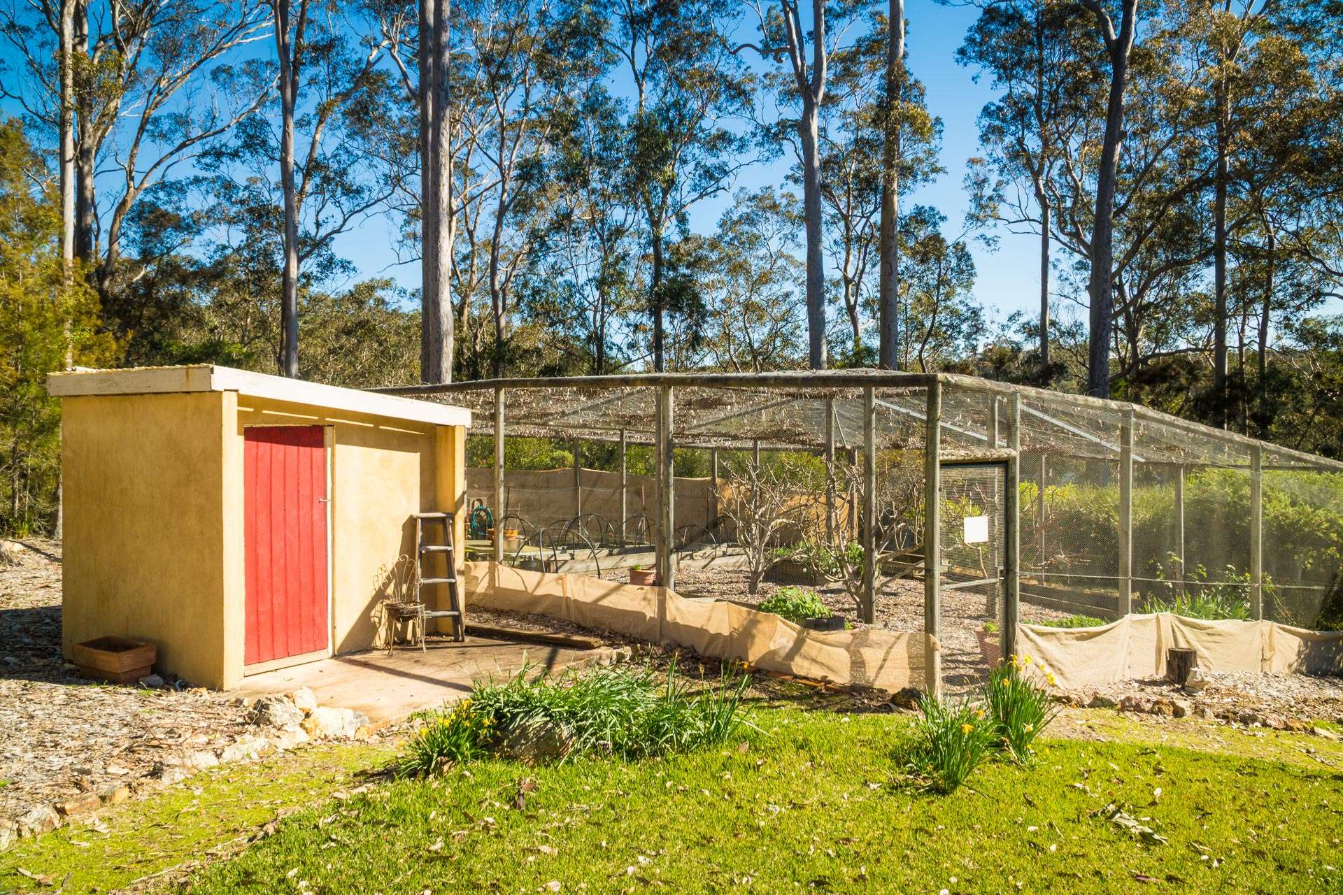 105 Hobbs Point Road, Narooma For Sale by Farmbuy.com - image 32