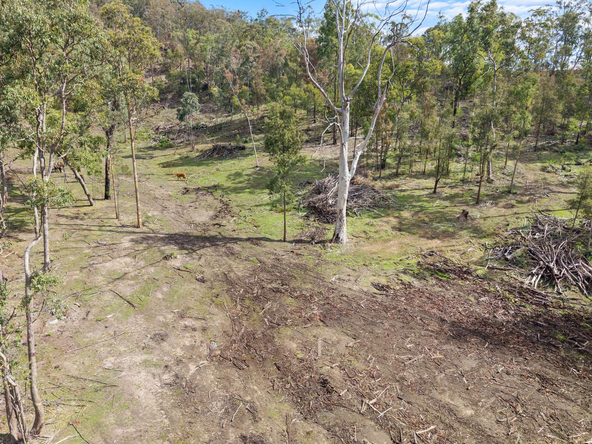 1621 Bakers Road, Putty For Sale by Farmbuy.com - image 18