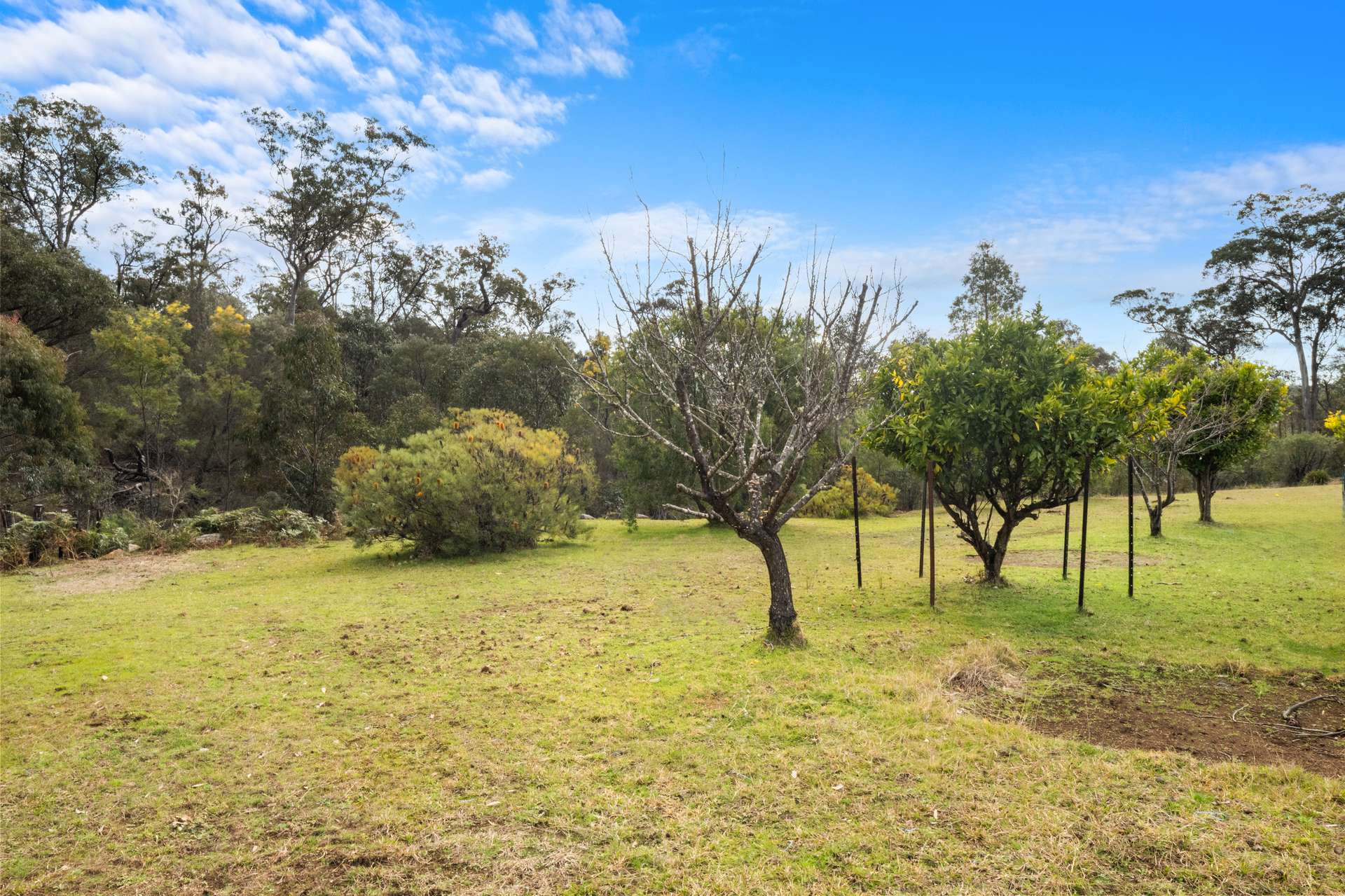1621 Bakers Road, Putty For Sale by Farmbuy.com - image 13