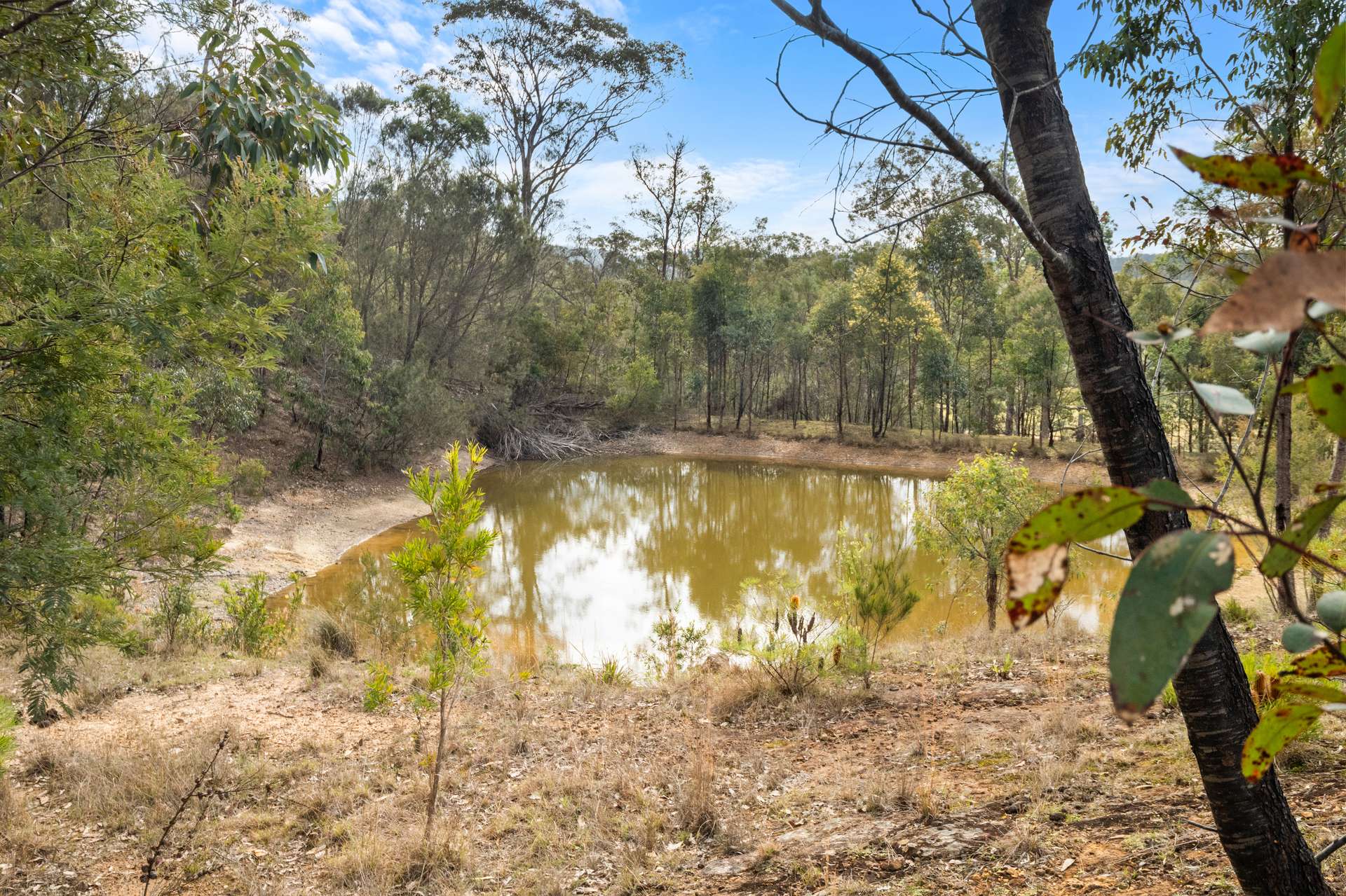 1621 Bakers Road, Putty For Sale by Farmbuy.com - image 14