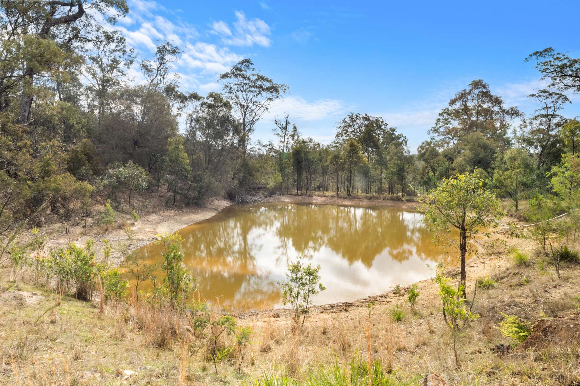 1621 Bakers Road, Putty For Sale by Farmbuy.com - image 16