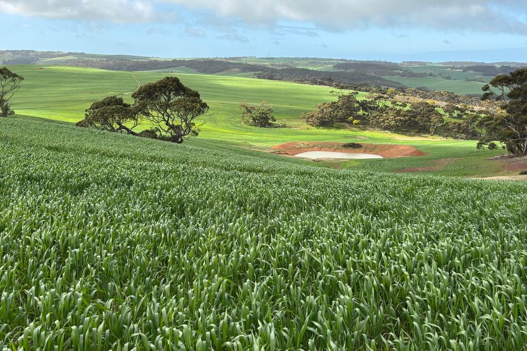 778 Pillaworta Road, Koppio SA 5607