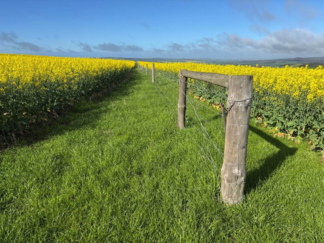 778 Pillaworta Road, Koppio For Sale by Farmbuy.com - image 8
