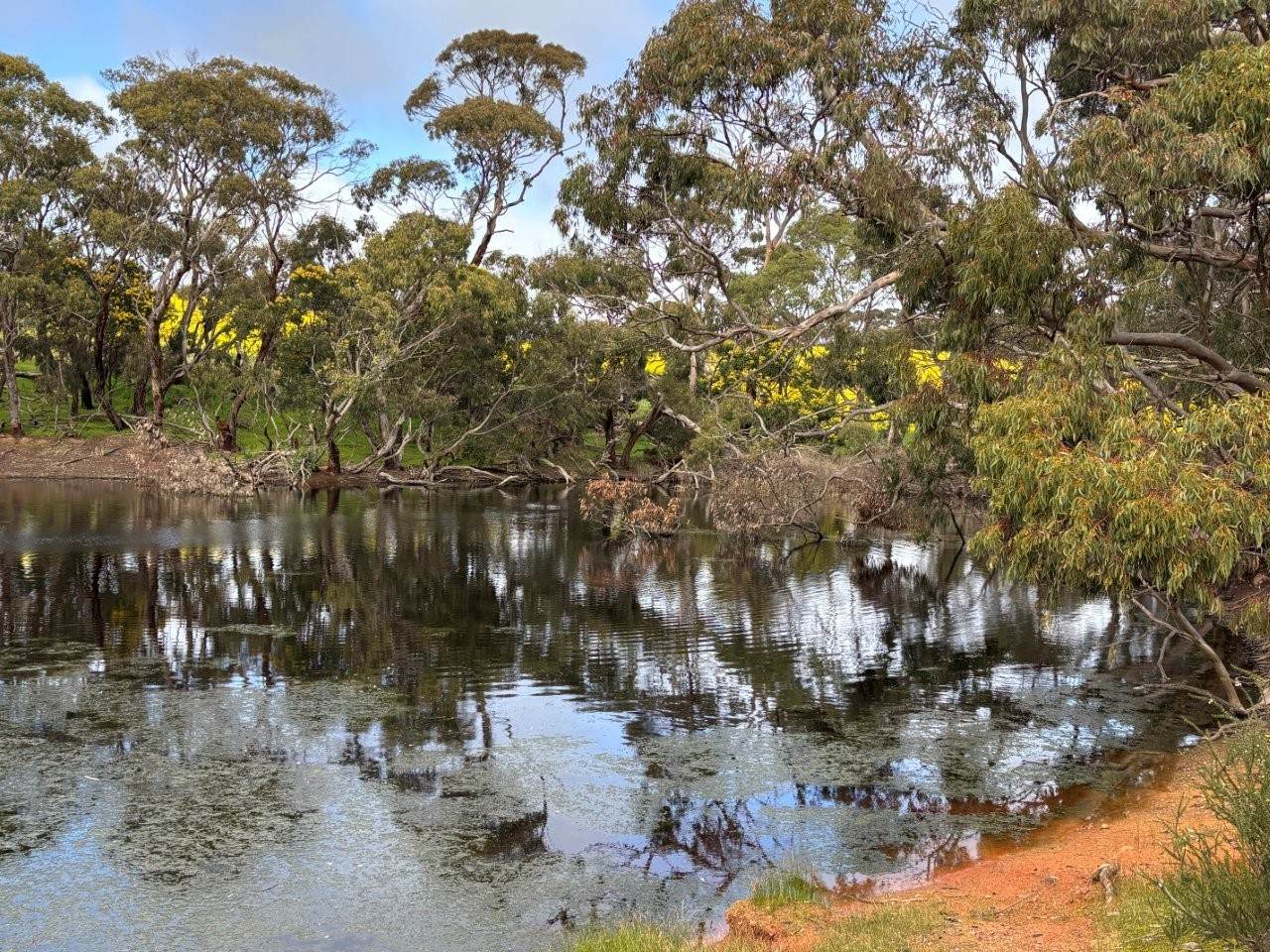 778 Pillaworta Road, Koppio For Sale by Farmbuy.com - image 32
