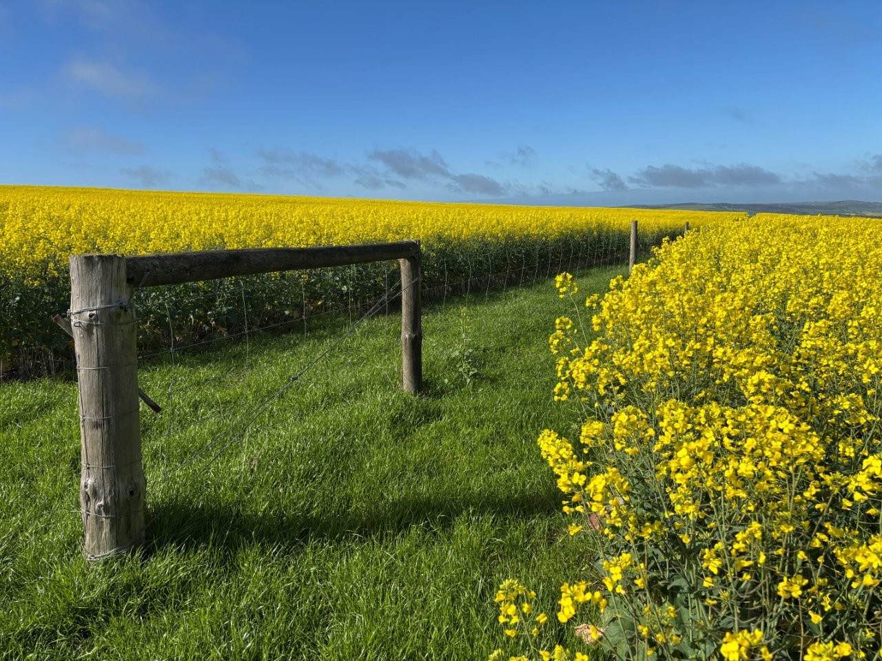 778 Pillaworta Road, Koppio For Sale by Farmbuy.com - image 7