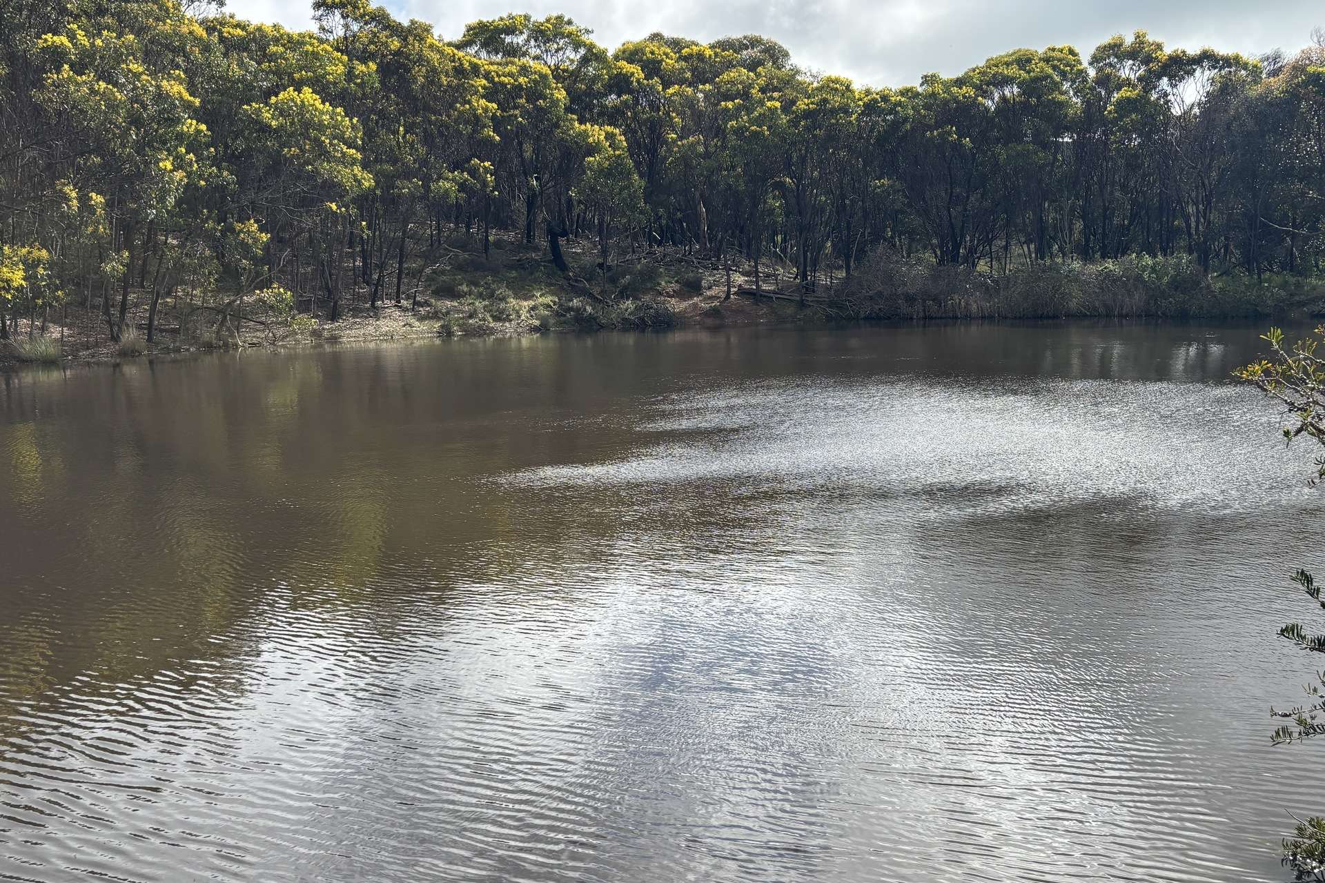 778 Pillaworta Road, Koppio For Sale by Farmbuy.com - image 35