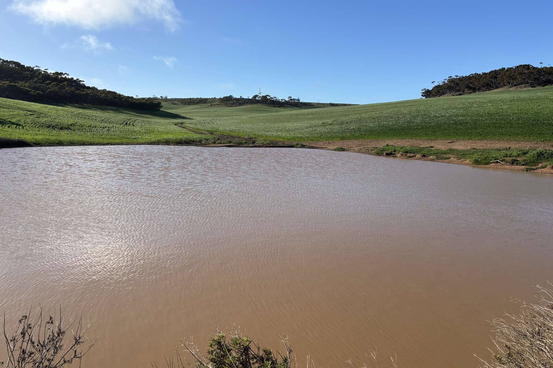 778 Pillaworta Road, Koppio For Sale by Farmbuy.com - image 6
