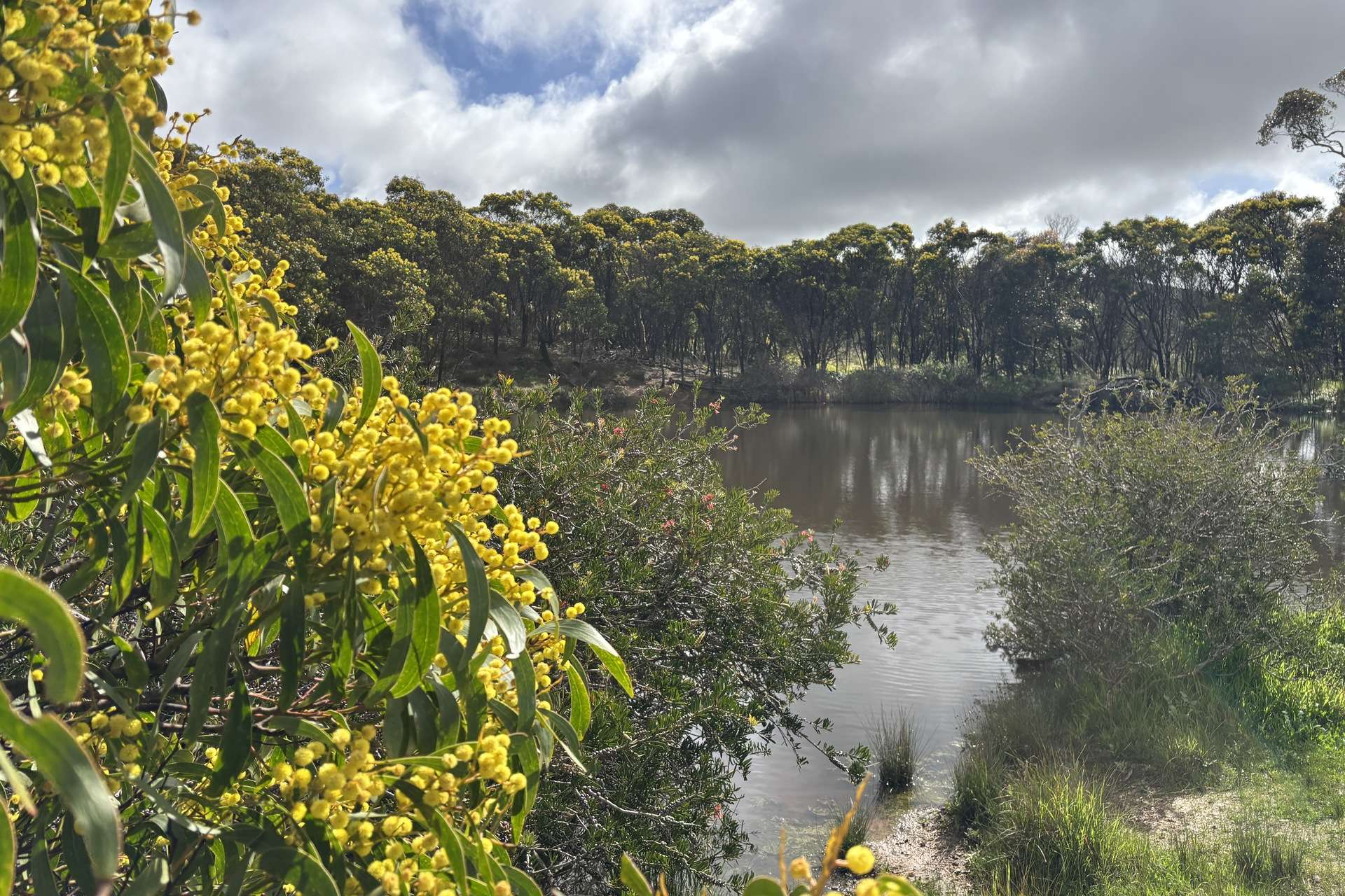 778 Pillaworta Road, Koppio For Sale by Farmbuy.com - image 33