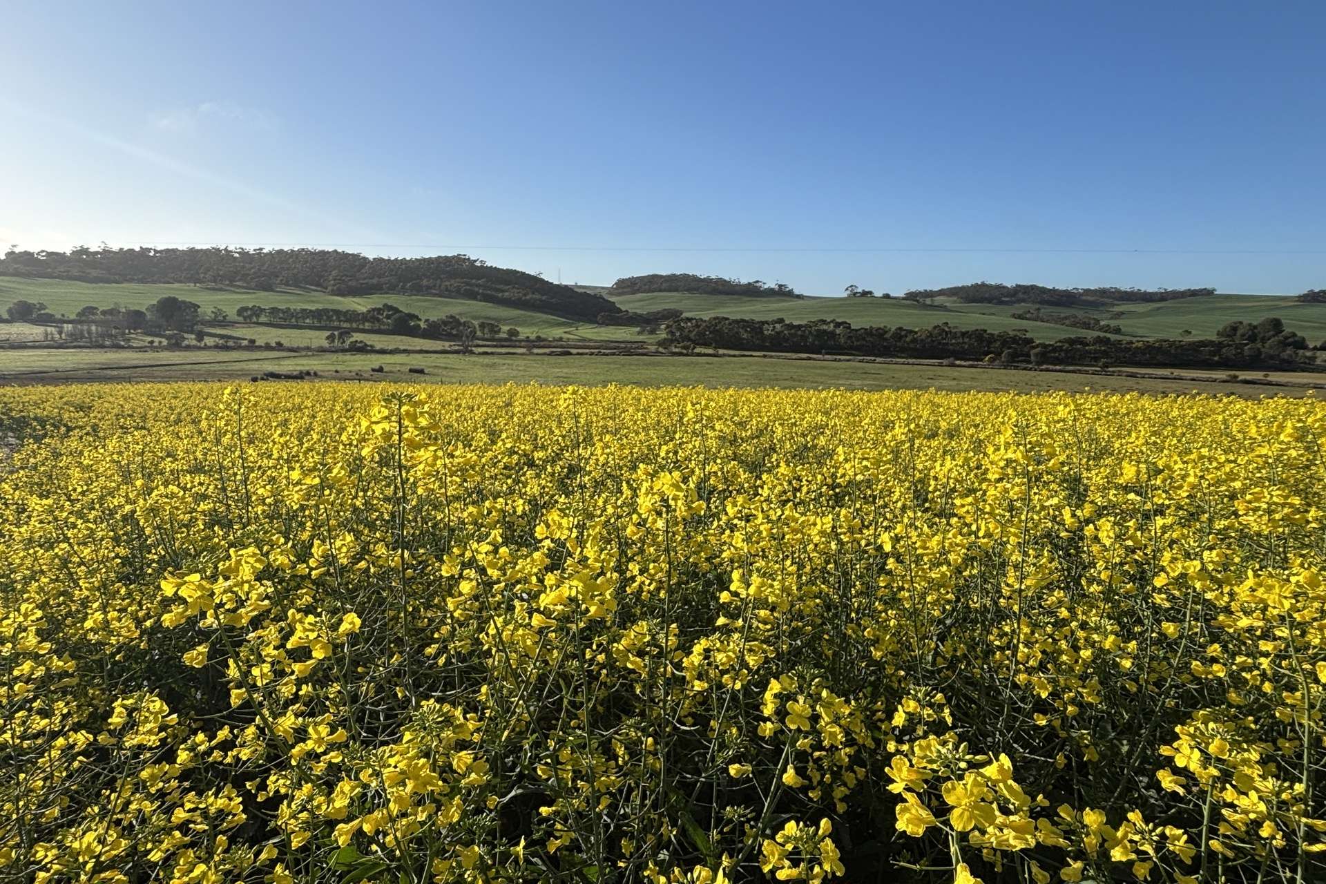 778 Pillaworta Road, Koppio For Sale by Farmbuy.com - image 34