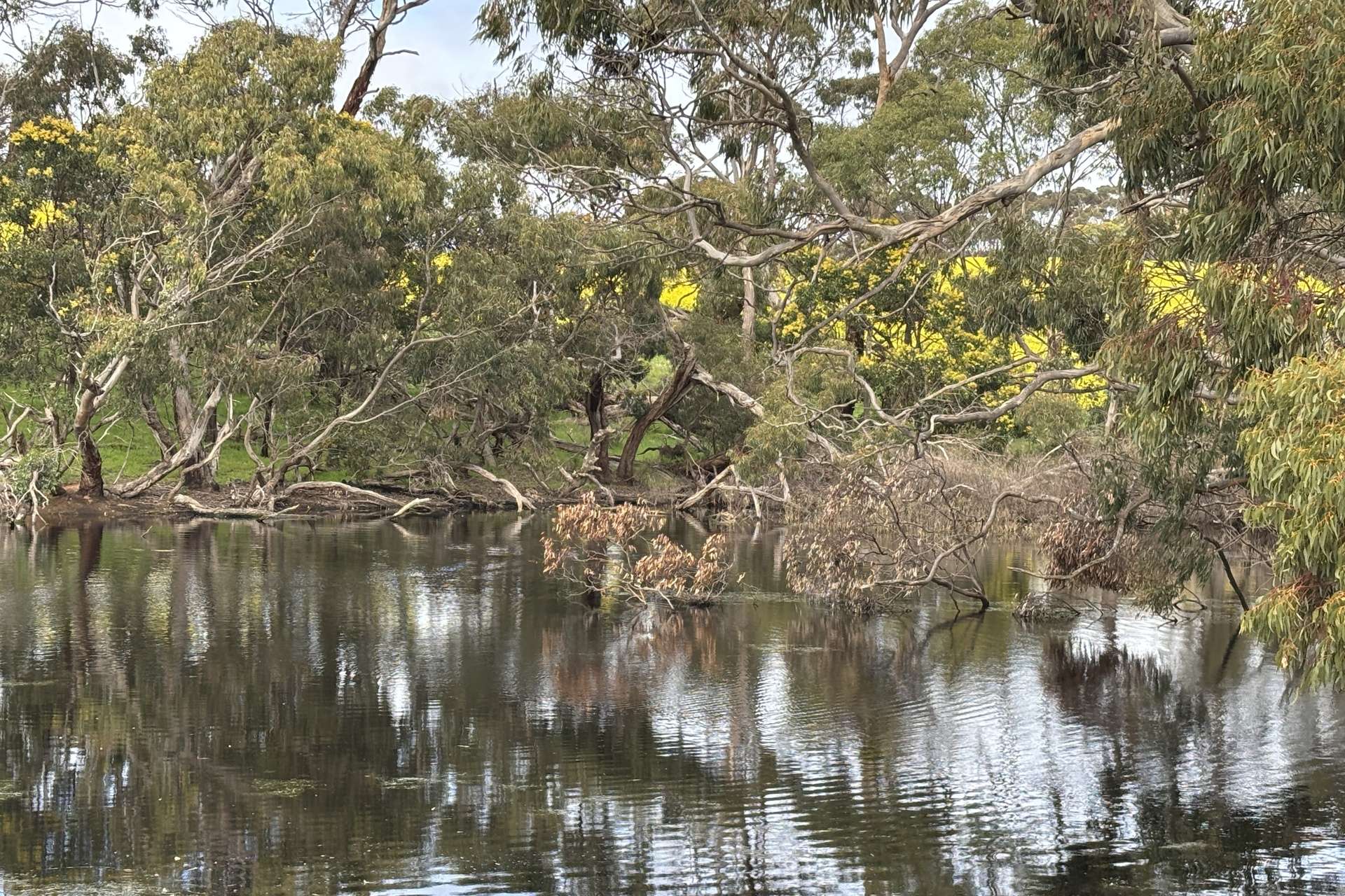 778 Pillaworta Road, Koppio For Sale by Farmbuy.com - image 23