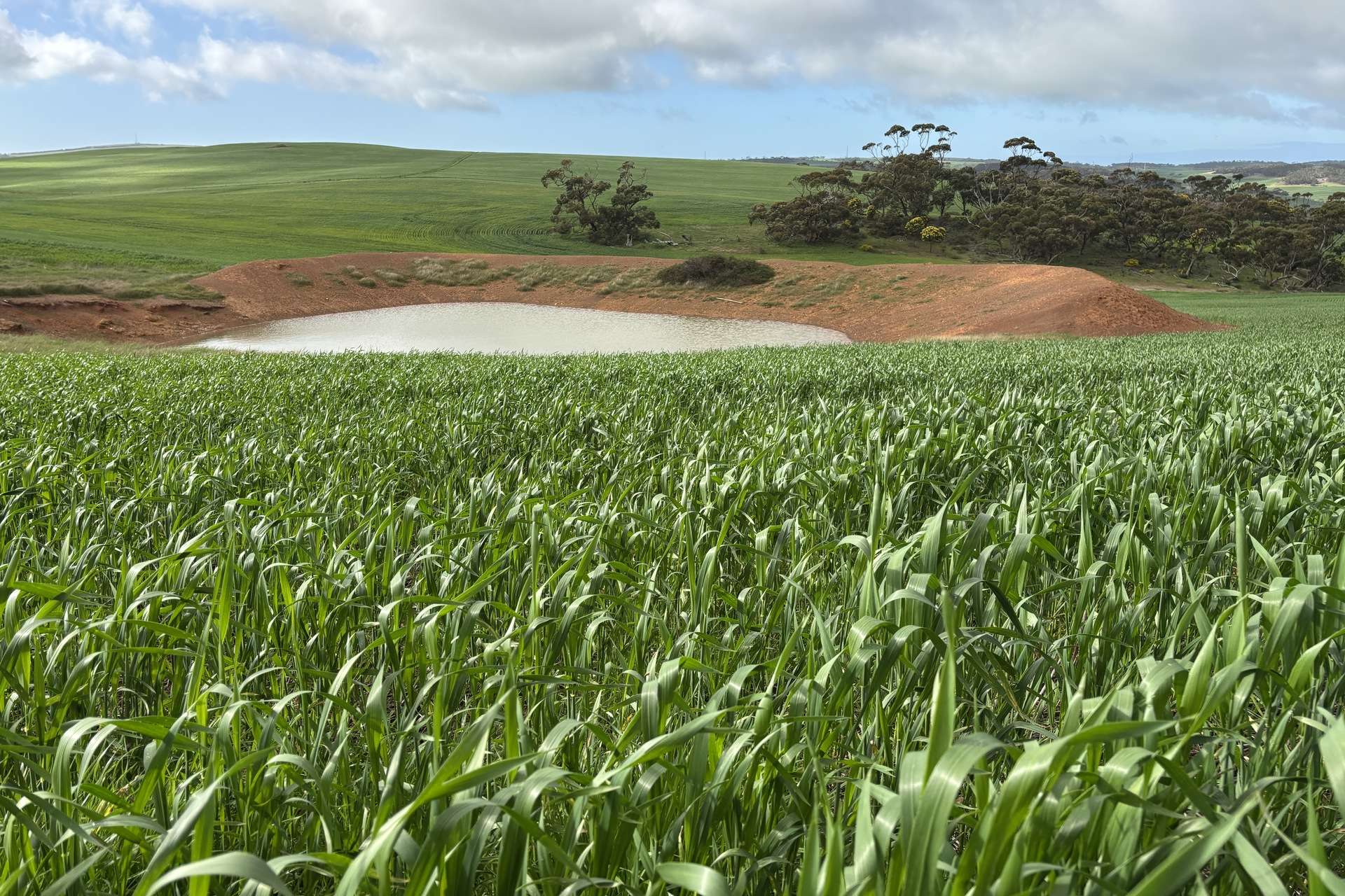 778 Pillaworta Road, Koppio For Sale by Farmbuy.com - image 24
