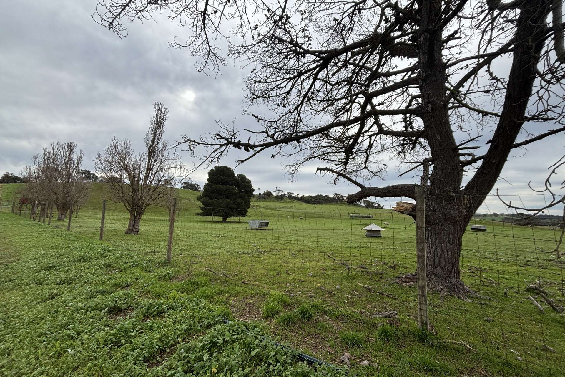 778 Pillaworta Road, Koppio For Sale by Farmbuy.com - image 27
